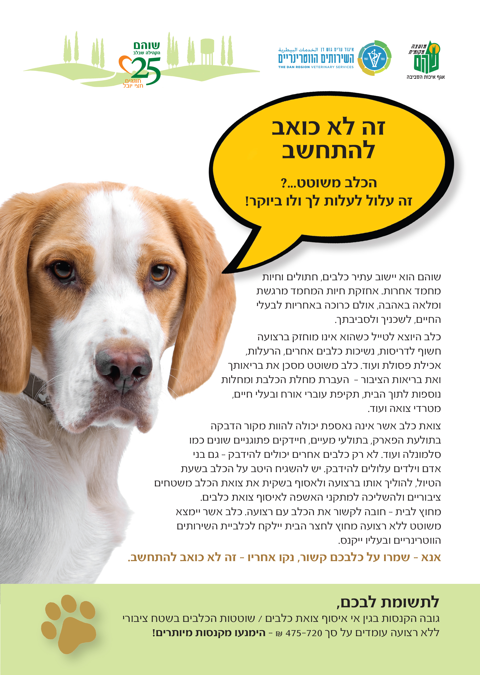 פלאייר בנושא שוטטות כלבים