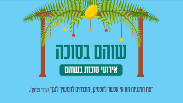 מועצה מקומית שוהם